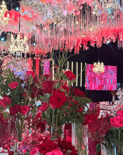 Mohamed & Farah review image 2